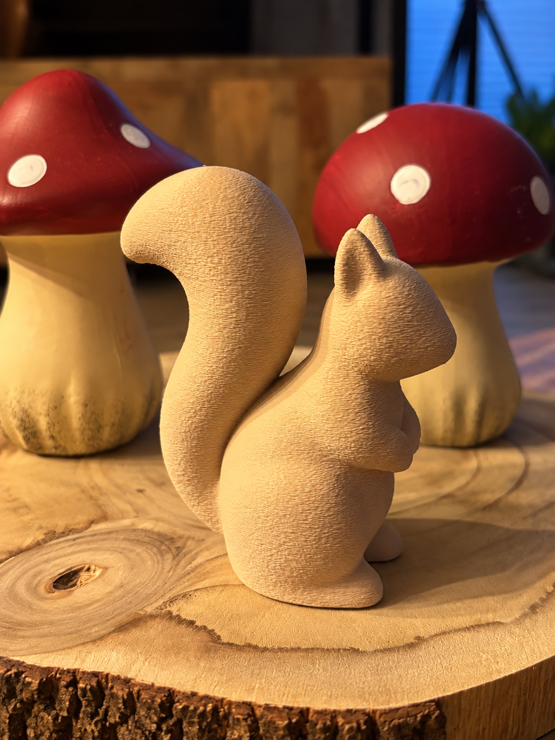WUSCHEL - Das kleine Eichhörnchen